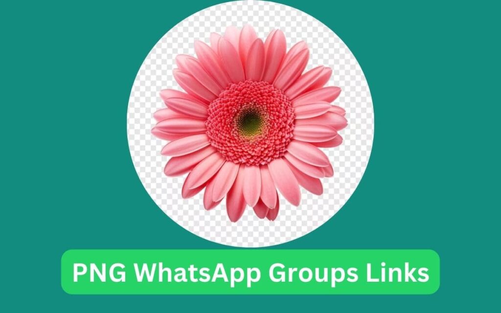 PNG WhatsApp Groups Links