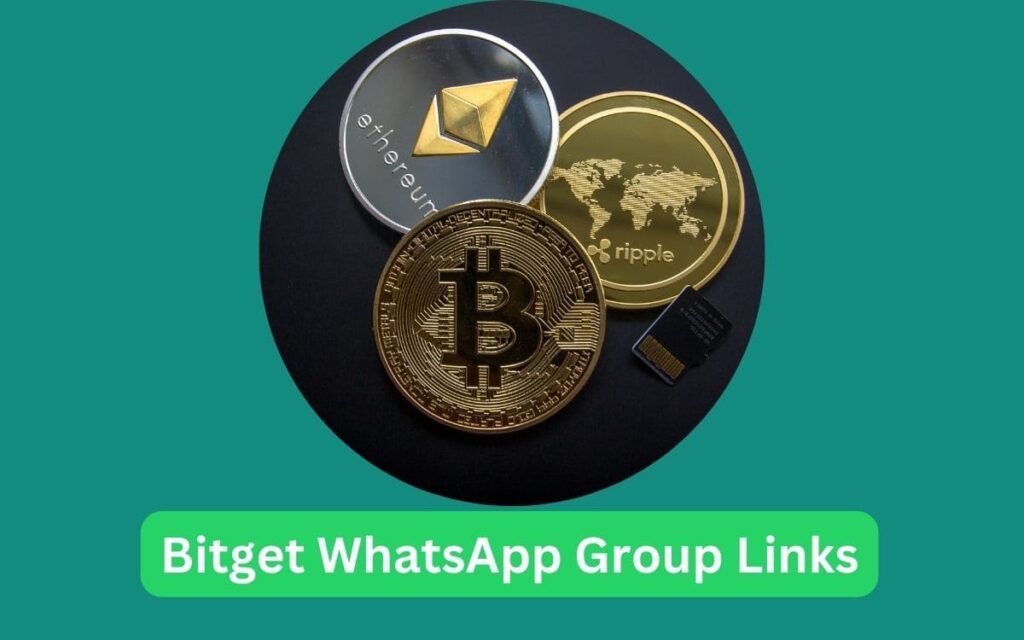 Bitget WhatsApp Group Links