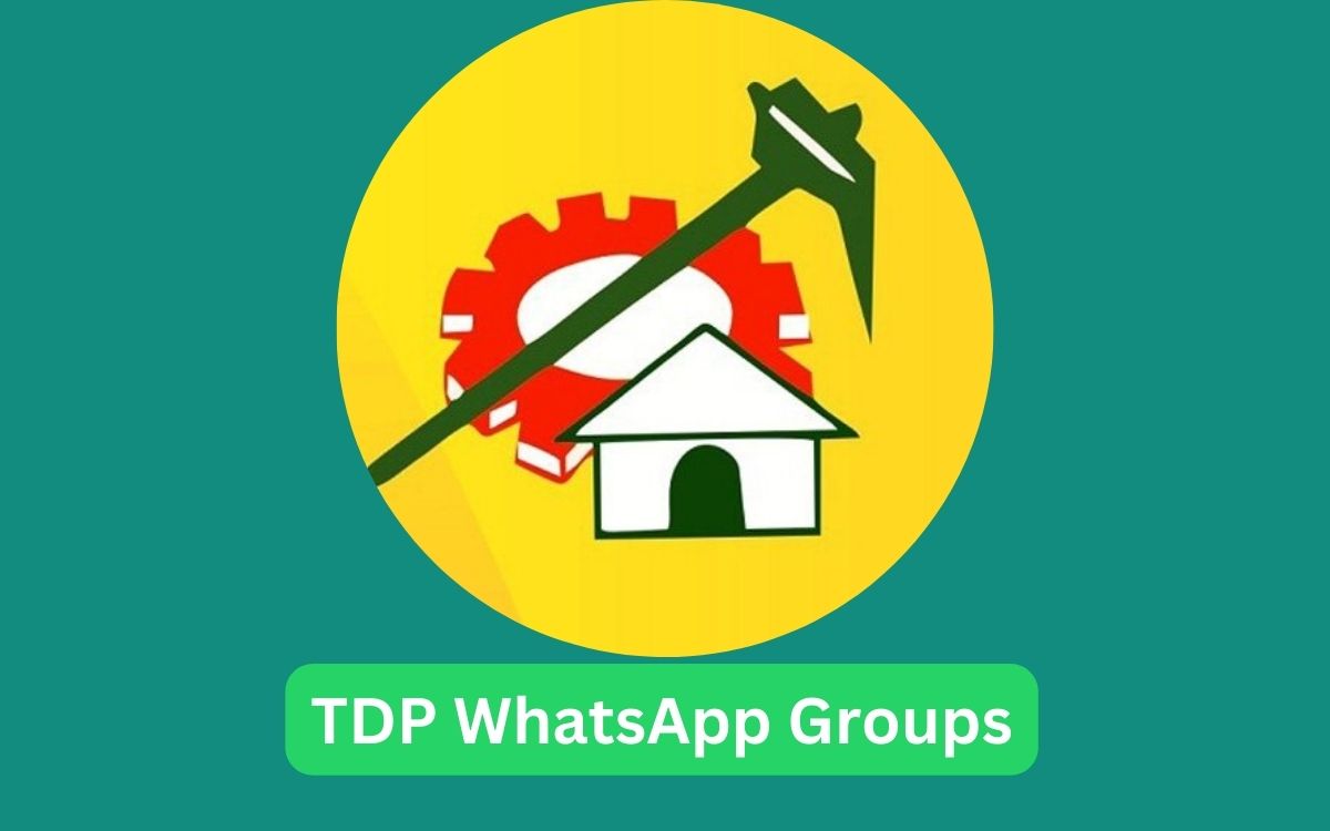 880+ TDP WhatsApp Groups Link