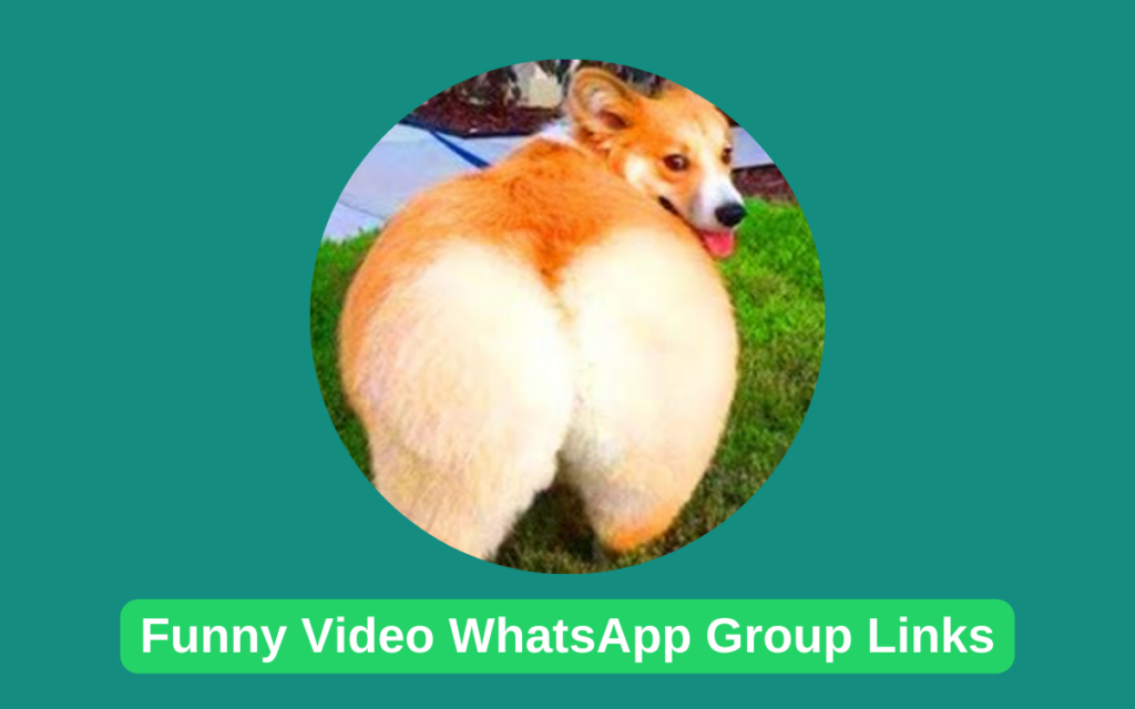Funny Video WhatsApp Group Links